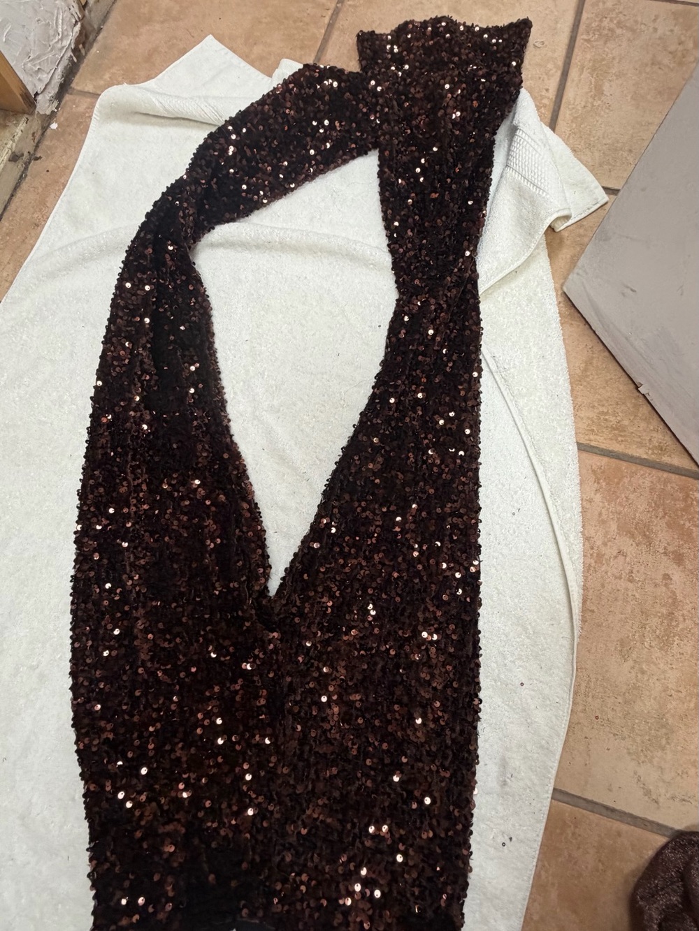 Express Brown Sequin pants